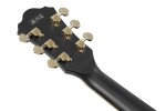Ibanez AS73G Black