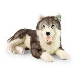 Velký plyšový pes husky ležící 60 cm, ECO-FRIENDLY