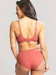 Panache Bra rose 65G