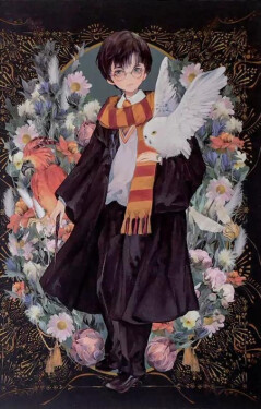 Harry Potter zápisník A5 - Harry Potter