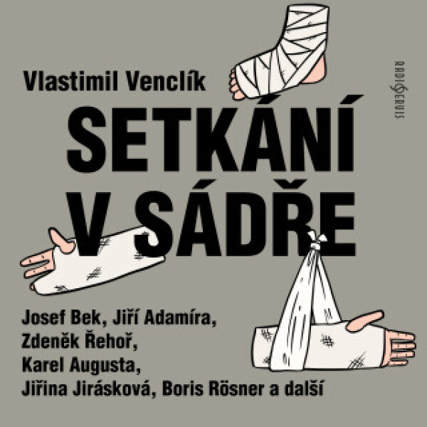 Setkání v sádře - Jiřina Jirásková, Vlastimil Venclík, Josef Bek, Jiří Adamíra, Marie Marešová, Zdeněk Řehoř - audiokniha