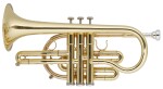 Getzen 800 Eterna
