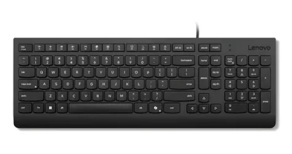 Lenovo Essential Wired Keyboard černá / Klávesnice / Drátová / USB-A / Numerická klávesnice / US (4Y41R64633)