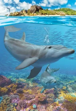 EUROGRAPHICS Puzzle Save Our Planet: Delfíni XL