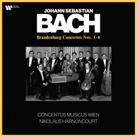 Brandenburg Concertos - Harnoncourt/Concertus Musicus Wien 1981 - 2 LP - Johann Sebastian Bach