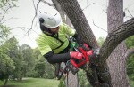 Aku prořezávací pila Milwaukee M18 FHS20-0 4933480117