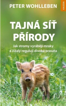 Tajná síť přírody