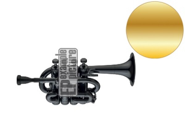 Coolwind CWPT-200G