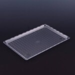 Dortisimo Cesil Plastová podložka průhledná 20 x 30 cm