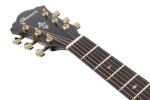 Ibanez AE340FMH Mahogany Sunburst