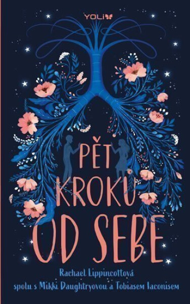 Pět kroků od sebe - Rachael Lippincottová