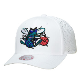 Mitchell & Ness Pánská kšiltovka Charlotte Hornets NBA Perfect Logo Pro Snapback Hwc