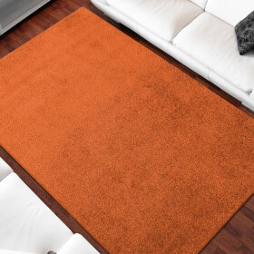 DumDekorace Jednobarevný koberec oranžové barvy