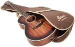 Ibanez AE240JR Mahagony Sunburst