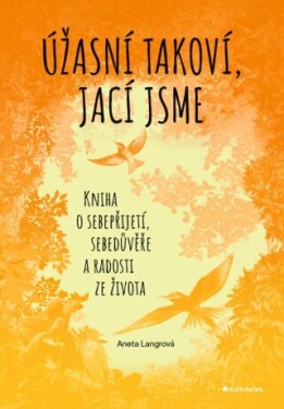 Úžasní takoví, jací jsme - Langrová Aneta - e-kniha