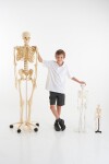 TickiT Kostra 85cm (model v měřítku 1/2)
