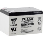 CSB Battery EVX12170 olověný akumulátor 12 V 17 Ah olověný se skelným rounem (š x v x h) 181 x 167 x 76 mm šroubované M5