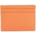 TOMMY HILFIGER Dámské ETUI AW0AW10241 dámské univerzita