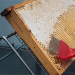 Včelařství Domovina Ořechové mámení 6x230 g ořechy v medu lískáče, para, kešu, vlašáky, mandle, makadam