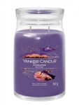 YANKEE CANDLE Stargazing svíčka 567g / 2 knoty (Signature velký)