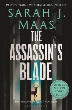 The Assassin´s Blade: The