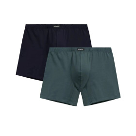 Pánské boxerky 2 pack 173 Long legs - Atlantic vícebarevná XL