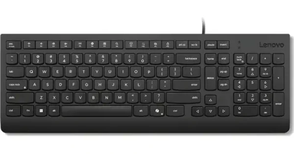 Lenovo Essential černá / Drátová klávesnice / CZ/SK layout / 1x USB-A (4Y41R64684)