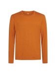 ICEBREAKER Mens 200 Oasis LS Crewe, Spice velikost: M