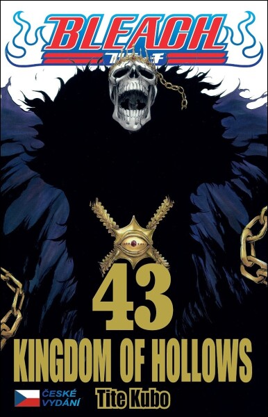 Bleach 43