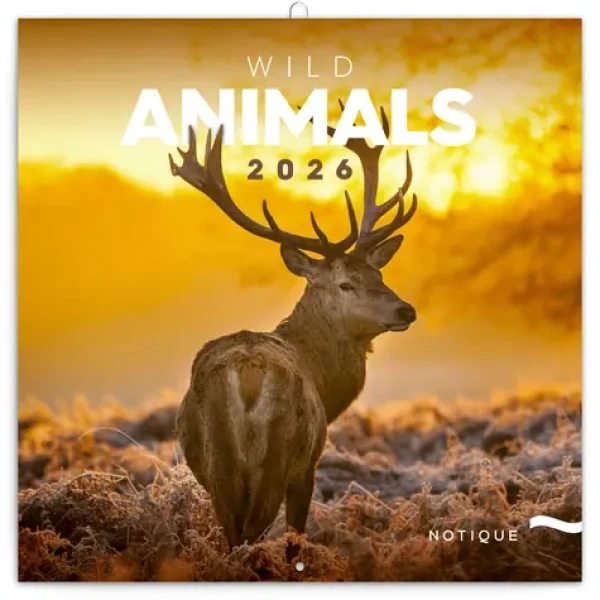 NOTIQUE Poznámkový kalendář Divoká zvířata 2026 - Východní / 30 x 30 cm (PGP-35487-V)