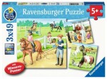 Ravensburger Koně