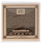 Ernie Ball 2070 Earthwood Phosphor Bronze Acoustic Bass 45-95