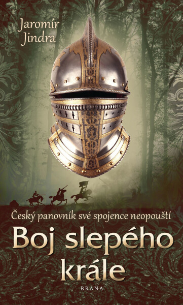 Boj slepého krále - Jaromír Jindra
