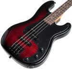 ESP LTD Surveyor-204DX Red Burst