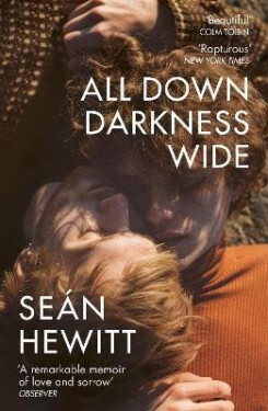 All Down Darkness Wide - Sean Hewitt