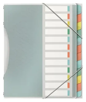 Esselte Colour'Ice mix barev / Třídicí desky / 12 listů / PP (626256)