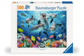 Ravensburger Delfíni