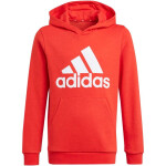 Dětská mikina Essentials Big Logo Hoodie Jr GN4037 - Adidas 122cm
