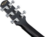 Ibanez EWP16EWB-GAO