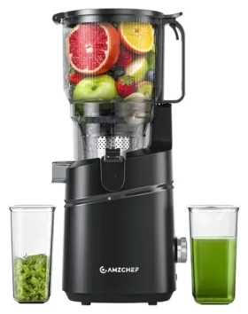 AMZCHEF SJ-036CBK černá / Pomalý odšťavňovač / 250 W / do 50 dB / 2,5 l (CE-SJ-036C-BK)