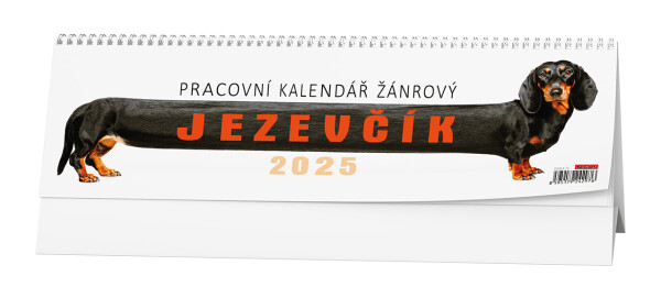 Stolní kalendář 2025 Pracovní Jezevčík