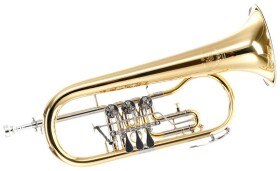 B&S 172TR-L