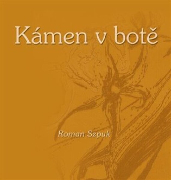 Kámen v botě