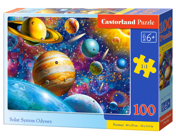 Puzzle Castorland 100 dílků premium