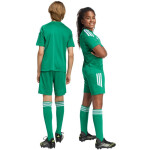 Dětské šortky adidas Tiro 26 League zelené KA8812 128 cm