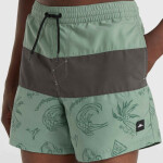 Plavecké šortky O'Neill Mix&Match Cali Block 15'' 92800613820