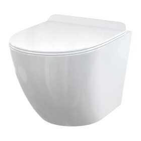 Alcadrain 1 - Alcadrain závěsná WC mísa + WC sedátko SLIM SOFTCLOSE, Duroplast WC SOLID WC SOLID