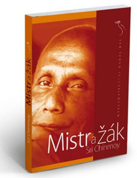 Mistr žák