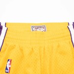 Mitchell & Ness Pánské kraťasy Los Angeles Lakers NBA 2009-10 Swingman Shorts Velikost: S