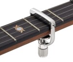 G7th Heritage 1 Banjo